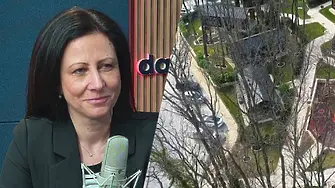 Нови детайли за незаконния град край Варна: Говори Цвета Рангелова, "Възраждане"