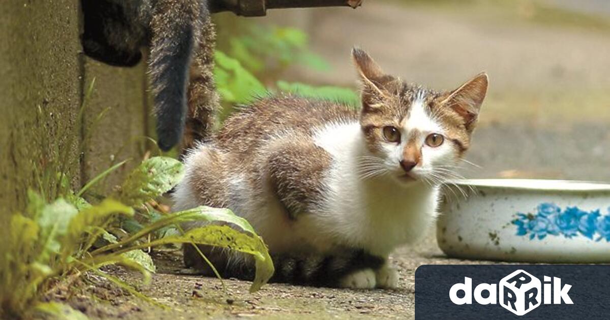 На 14 05 2026г в РУ Мездра е получен сигнал от СНЦОП В