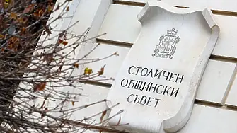Столичният общински съвет обсъжда проекта за 75-метрова сграда в „Младост“