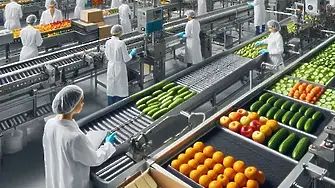 Цените на едро на повечето плодове, зеленчуци и основни хранителни продукти бележат спад у нас тази седмица