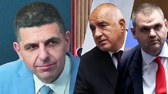 Мирчев: Пеевски и Борисов са подложили лапички на Радев само за да не ги закача!
