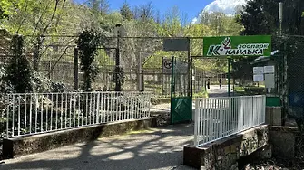На 1 юни: Плевенският зоопарк в „Кайлъка“ ще бъде с безплатен вход за децата