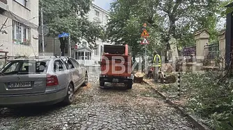 Дърво падна върху кола и оградата на училище в София