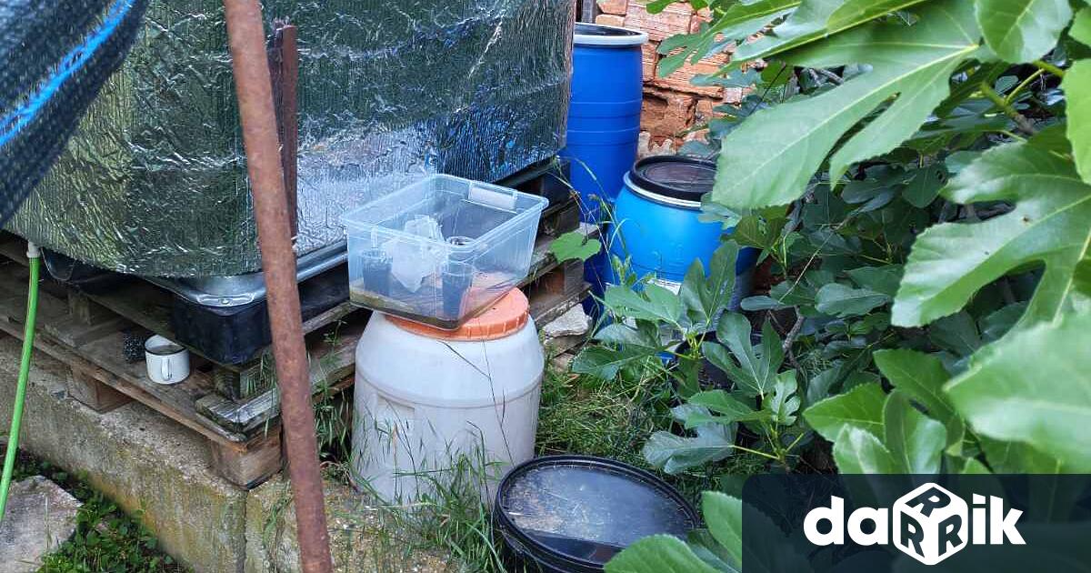 Наркотични вещества ипреработено оръжие са иззети при полицейски операции за