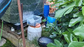 Двама са в ареста за притежание на наркотици