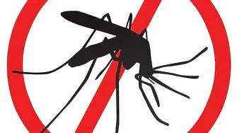 Наземна обработка срещу комари ще се извърши от 8 до 10 юни