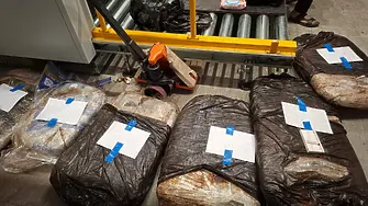 Иззеха марихуана за близо 500 000 евро на ГКПП „Гюешево“ (ВИДЕО)