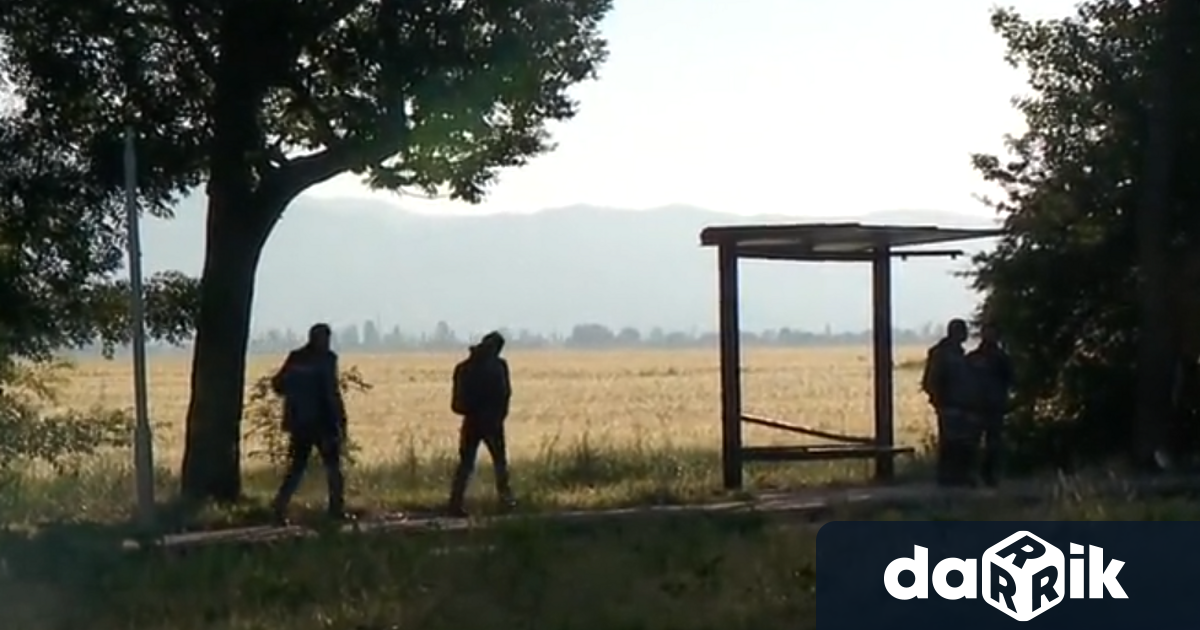 Свидетелствата за управление на автомобил на водачите от катастрофата на