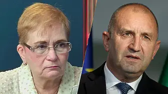 Проф. Пиргова: Икономическият екип на Радев не е толкова радикален, колкото ми се иска!