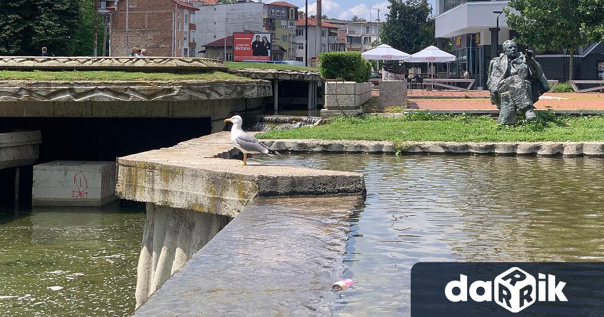 В събота сутринта в ниските части и около водните басейни