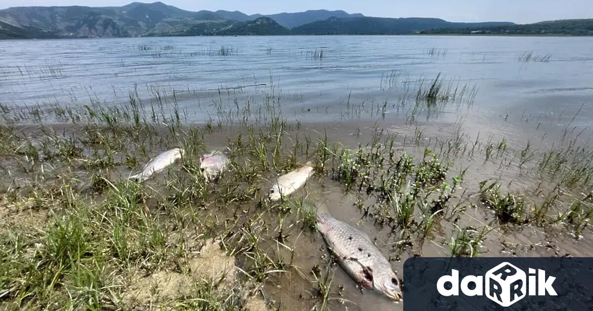 От Басейнова дирекция Черноморски район Варна и Регионална лаборатория Варна
