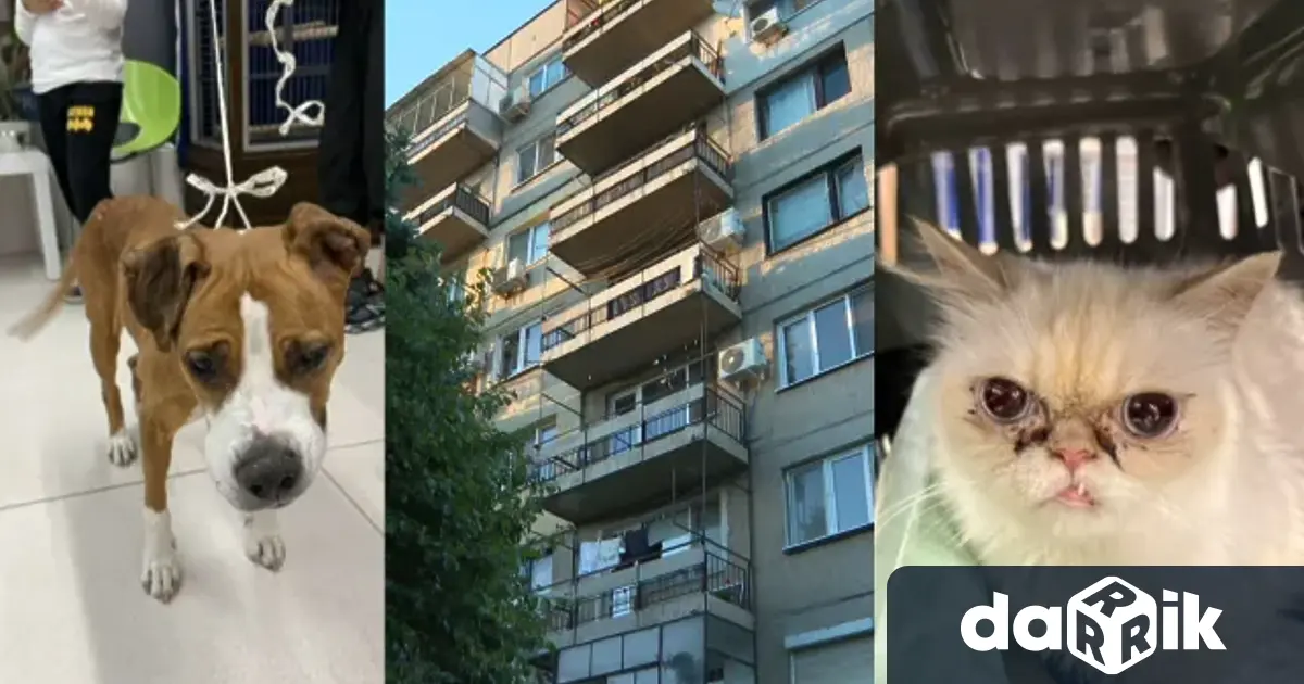 Притесни се не от това което ние ще видим а