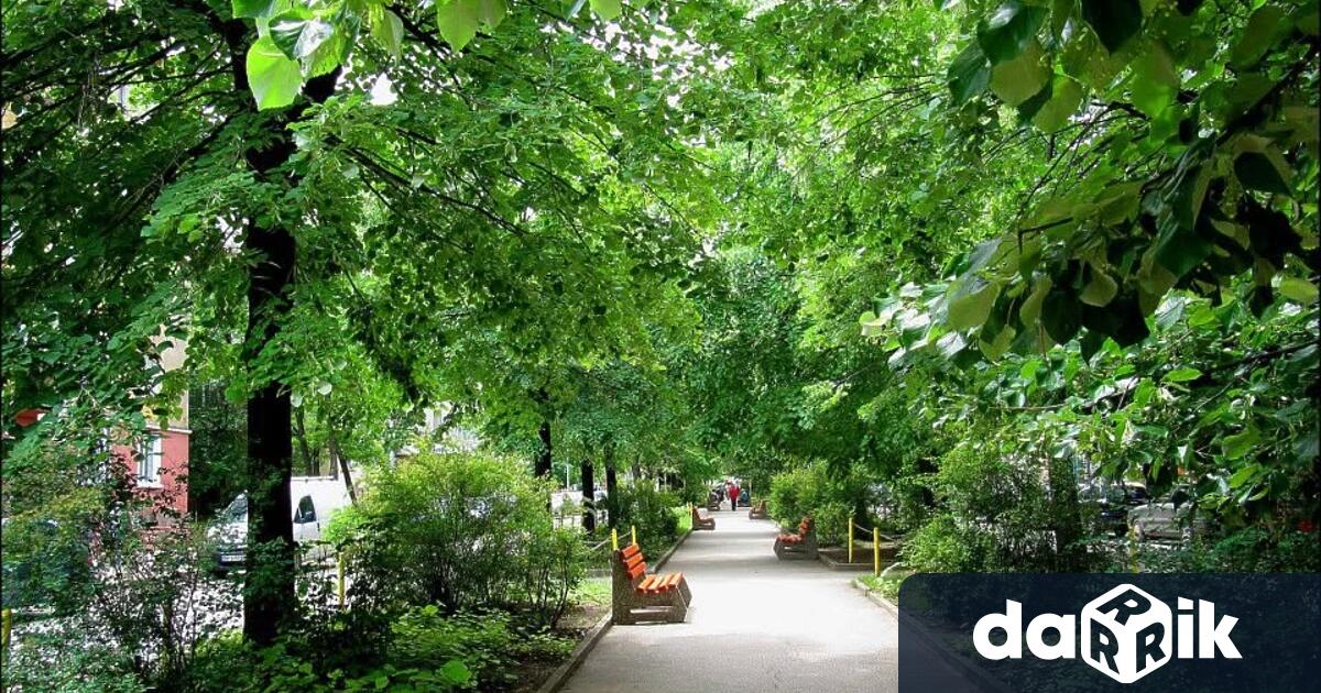 Кметът на Враца публикува позицията си в личната си страница