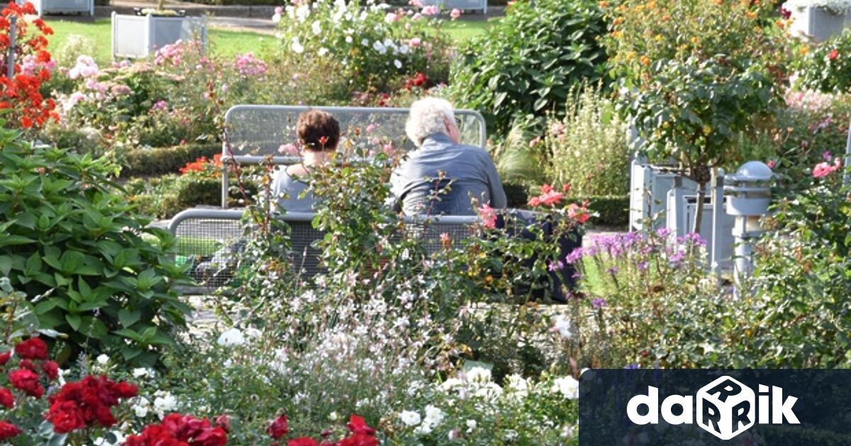 Злоупотребата с възрастни хора е нарушение на член 25 от