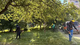Продължава косенето на зелените площи във Враца