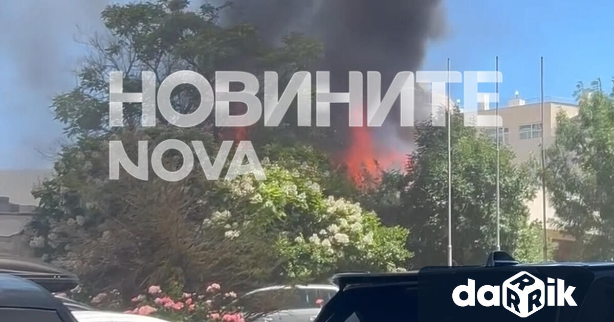 Пожар е възникнал в района на курортния комплекс Слънчев бряг