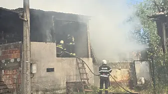 30 овце бяха спасени при пожар в асеновградското село Боянци