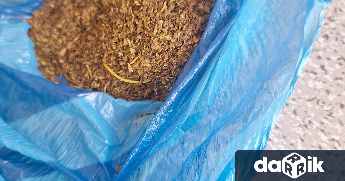 Трима души са задържани за притежание на наркотици при специализирани