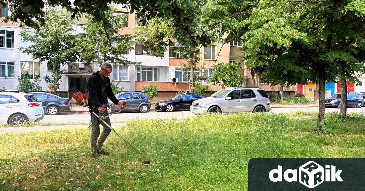 От днес до 28 юни екипите на БКС извършват косене