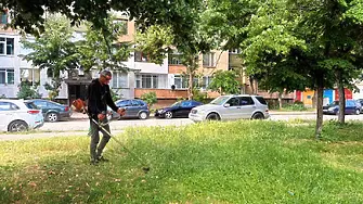 Продължава поддържането на зелените площи във Враца