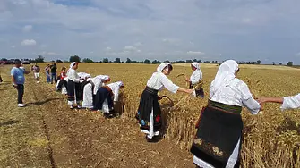 Дадоха официален старт на жътвената кампания в област Видин