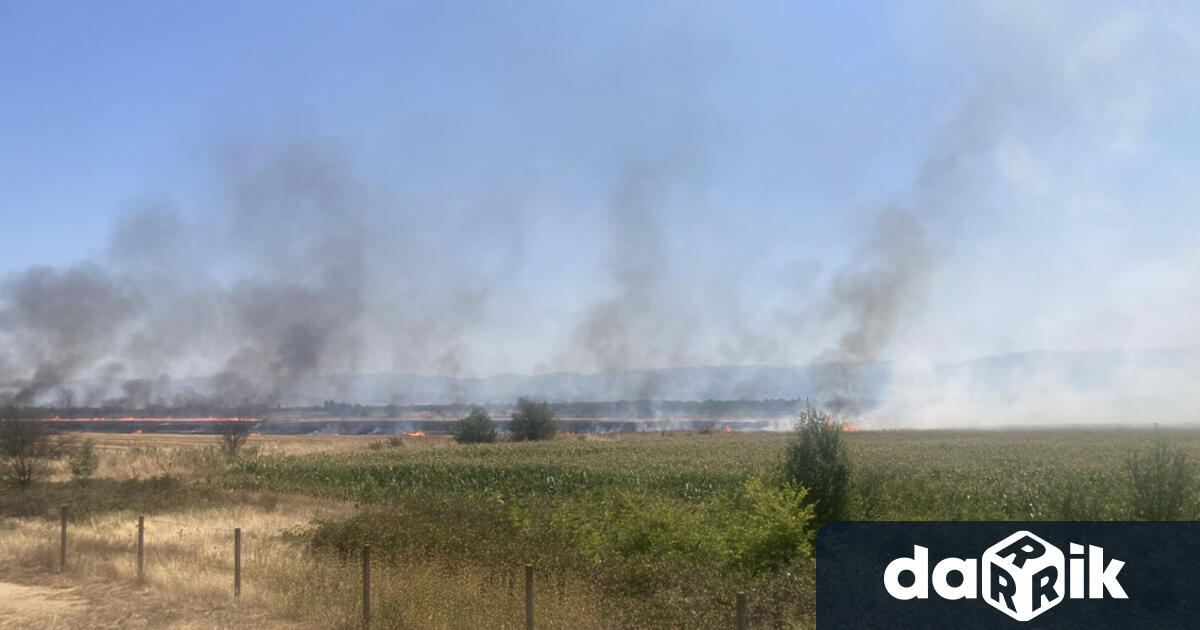 Временно е ограничено движението по автомагистрала Тракия при км 283