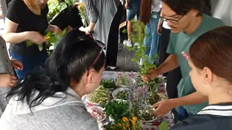 Ученици и деца от детски градини в Плевен плетоха Еньовденски венец