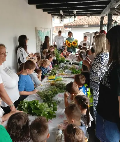  Ученици и деца от детски градини в Плевен плетоха Еньовденски венец 