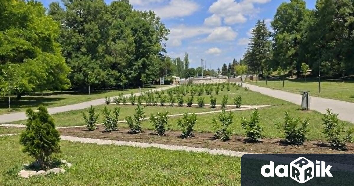 Община Плевен продължава работата по поддръжката и облагородяването на парк
