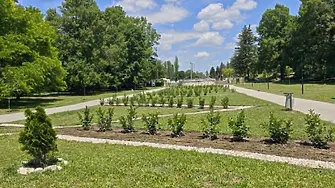 Община Плевен продължава с облагородяването на „Кайлъка“ 
