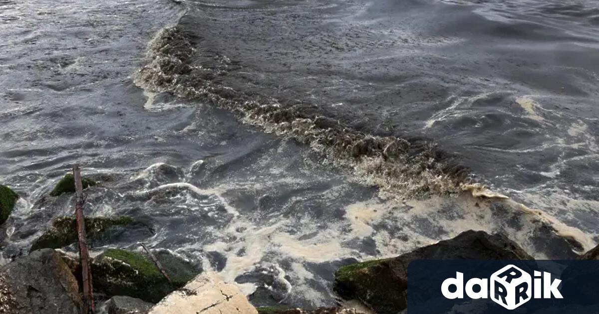 Откритите през последните дни мазутни образувания по плажове на Северното