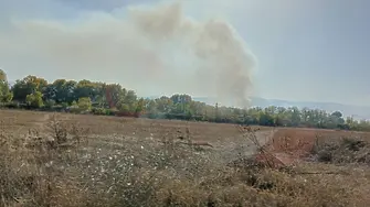 Голям пожар избухна край Околовръстното на Пловдив