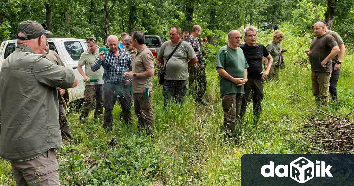 Регионално съвещание се проведе по стопанисване на горите на територията