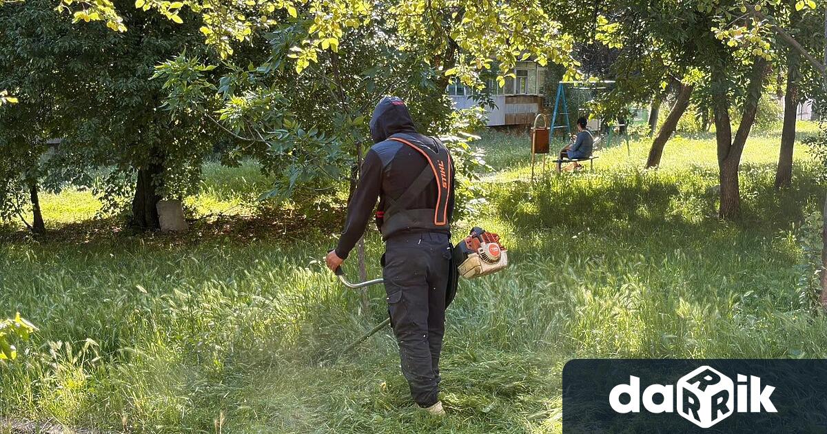 До 2 юли екипите на БКС извършват косене на тревните