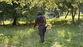 Продължава поддържането на зелените площи във Враца