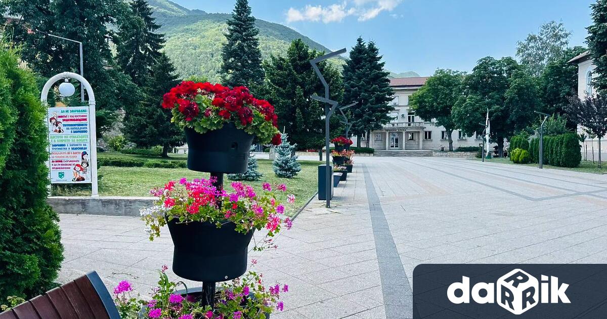 Грижата за зелените площи и чистотата на Враца продължава ежедневно