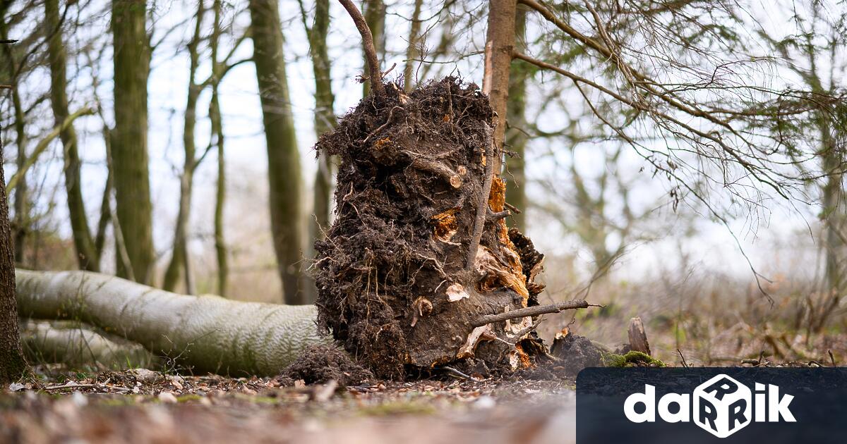 57 годишен мъж е в тежко състояние и с опасност