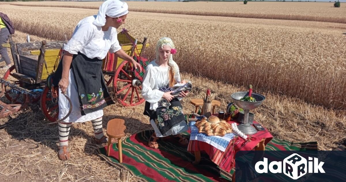С тържествен ритуал и водосвет беше дадено началото на жътвата
