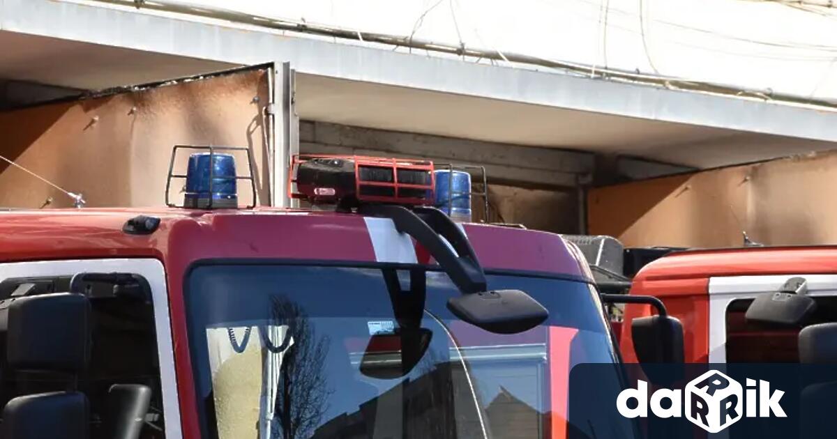 Трима пожарникари спасиха заклещено коте в двигателен отсек на автомобил