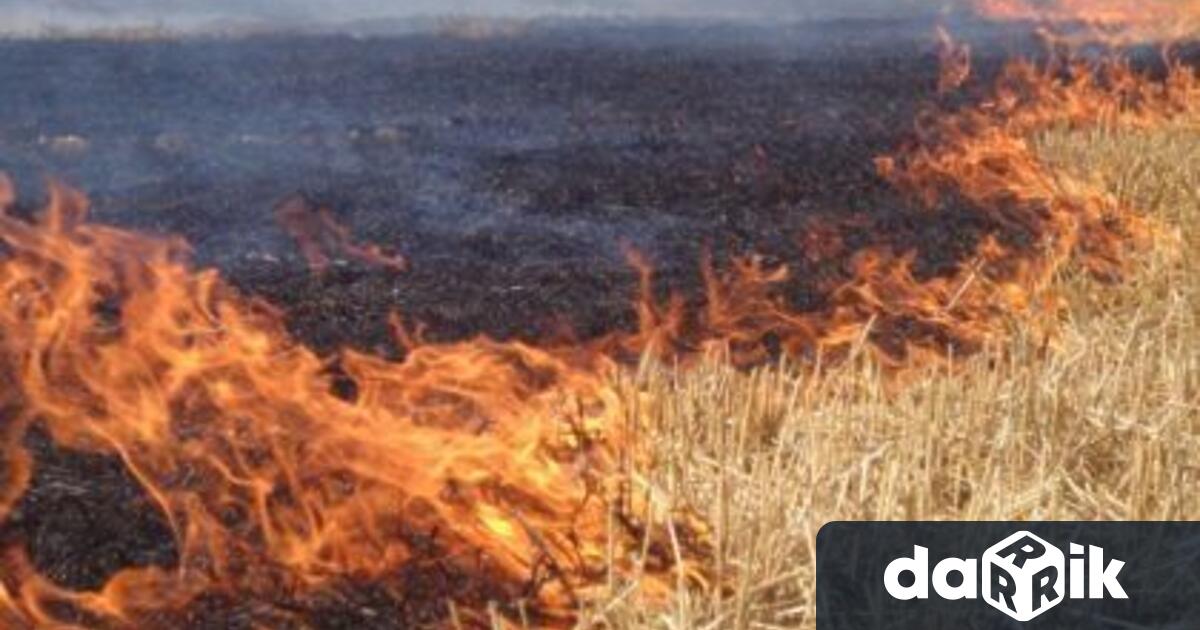 На 28 юни в 14 41 часа постъпил сигнал за