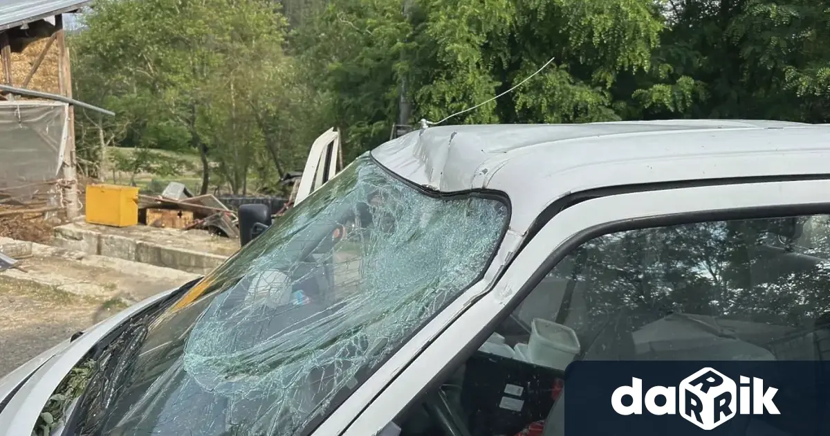 Шофьорка се размина без сериозни наранявания след като дърво падна