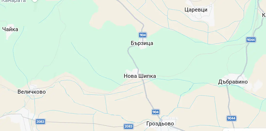 Полиция и доброволци са по следите на отвлечената Наталия 