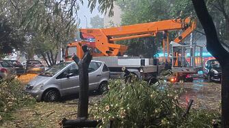 Порой и силен вятър вдигнаха на крак аварийните екипи в Пловдив