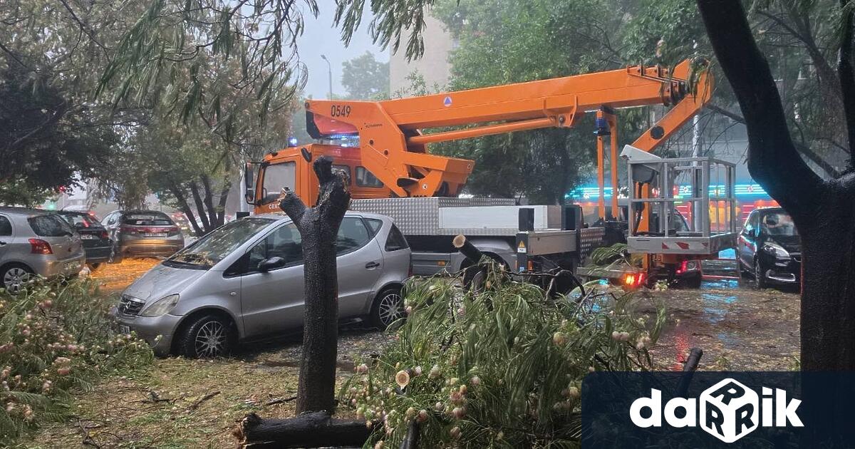 Повече от 80 сигнала за паднали дървета клони наводнени улици