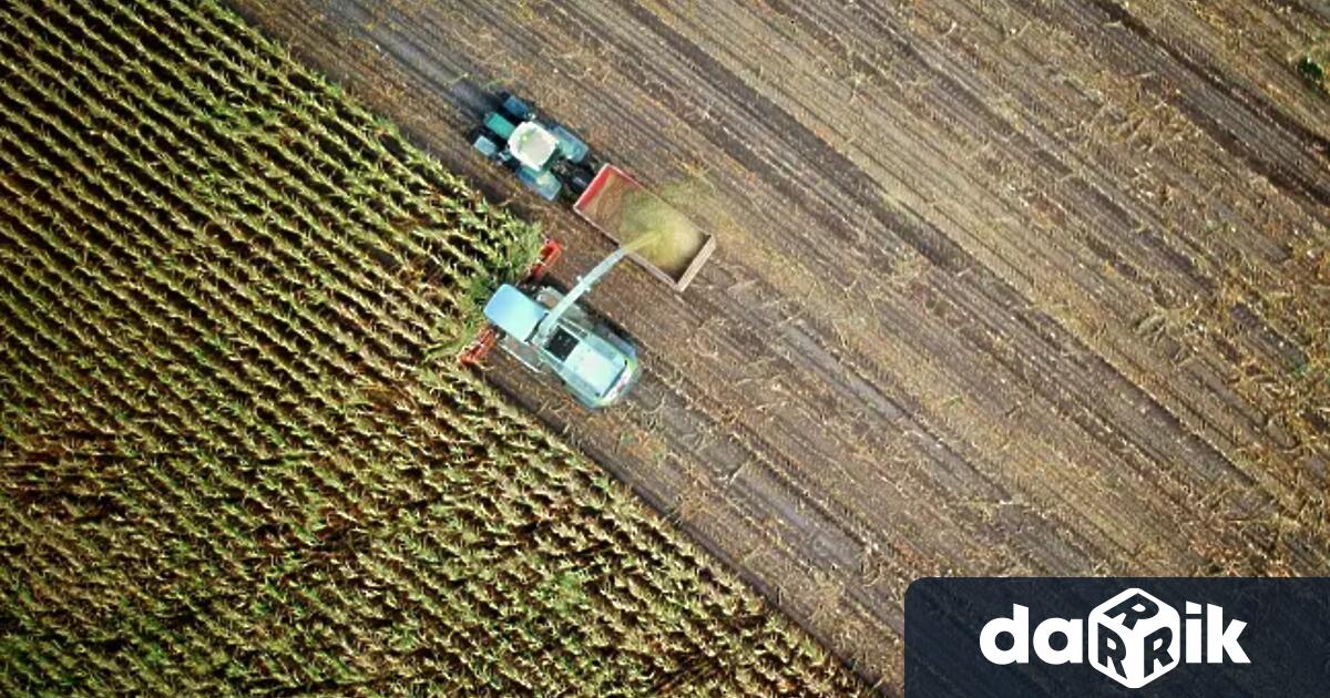 Мъж е с прерязана ръка след трудова злополука в исперихското