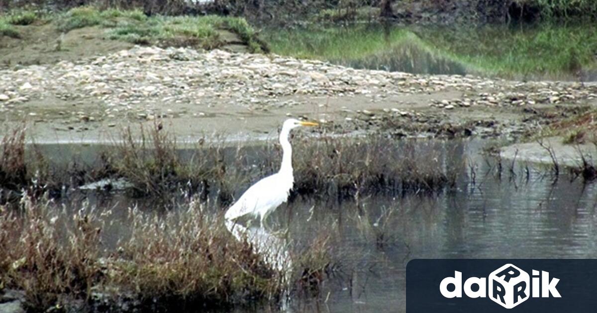 През месец юни Регионалната инспекция по околната среда и водите