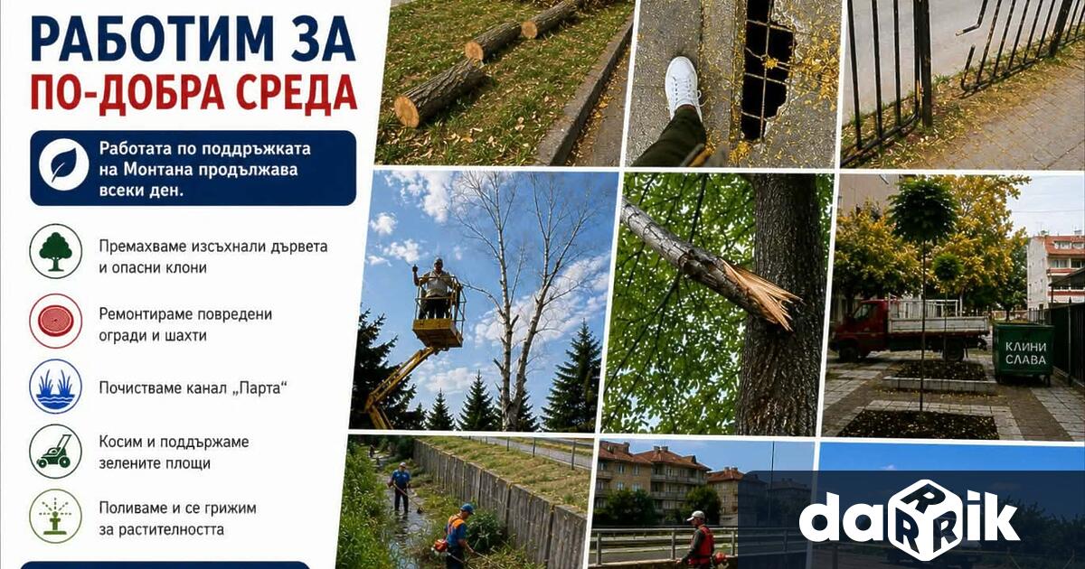 Екипите на Община Монтана продължават да отработват сигнали подадени от