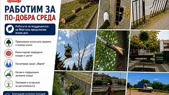 Екипите на Община Монтана работят по сигнали на гражданите и планирани дейности