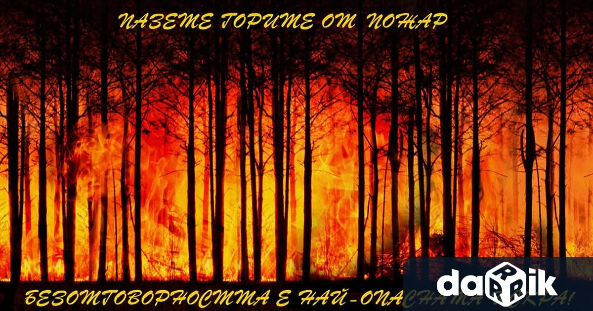 В разгара на пожароопасния сезон Югоизточно държавно предприятие призовава за