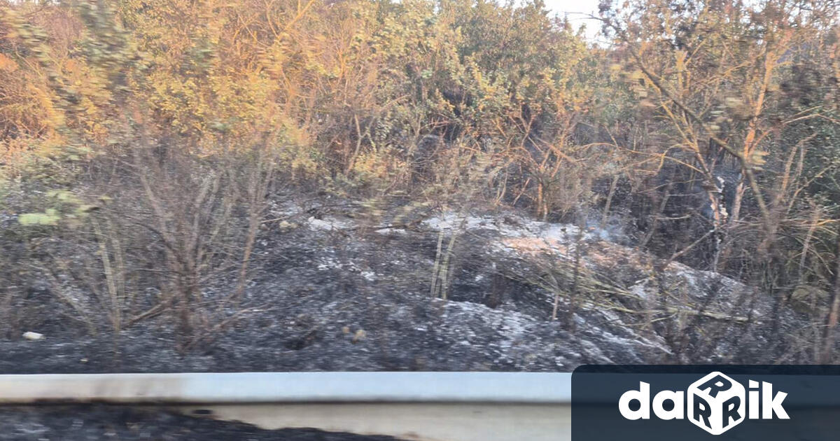 Пожар гори в землището на санданското село Лешница Запалили са